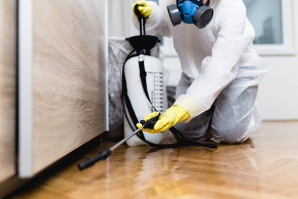 Best Best Pest Control Companies  in Wilsons Mills, NC