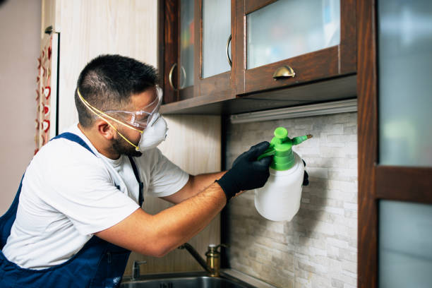Best Exterminator Services  in Wilsons Mills, NC