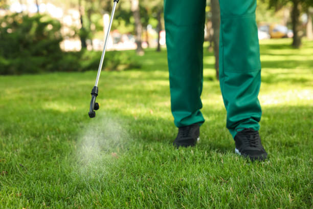 Best Pest Control Near Me  in Wilsons Mills, NC