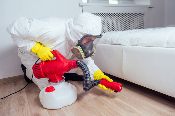 Best Wasp Removal Services  in Wilsons Mills, NC