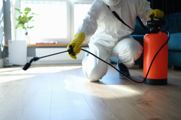 Best Flea Control Services  in Wilsons Mills, NC