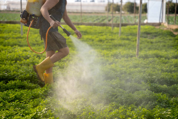 Best Mosquito Control Services  in Wilsons Mills, NC