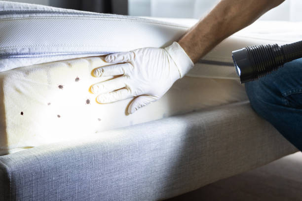 Pest Control Cost in Wilsons Mills, NC