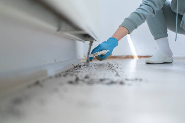 Best Affordable Pest Control Services  in Wilsons Mills, NC