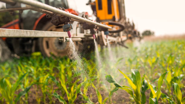Best Pest Removal Services  in Wilsons Mills, NC